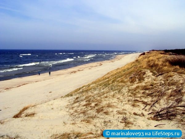 Море на Куршской косе