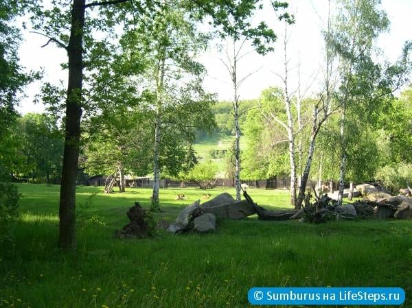 Зоопарк