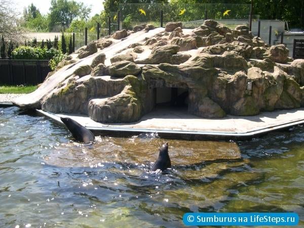 Зоопарк в Праге