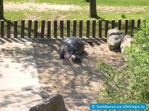 Пражский зоопарк