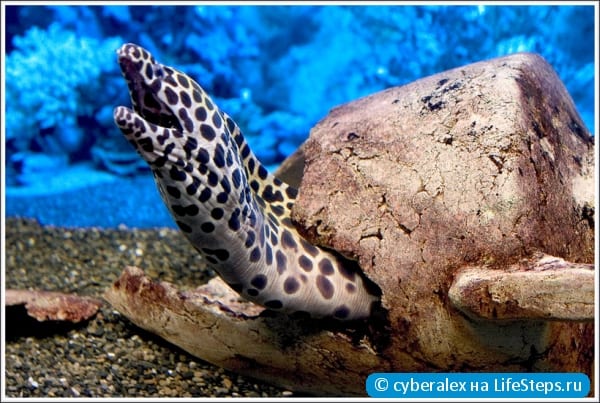 Побывать на море