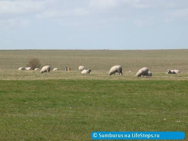 Стоунхендж - something in the middle of nowhere