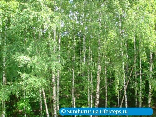 Вид из офиса