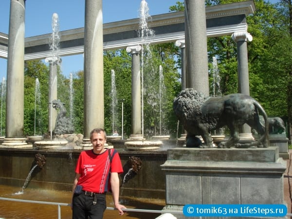 Фонтан Львиный