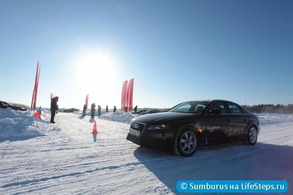 Соревнования в школе quattro