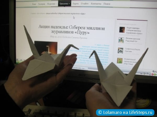 цурики