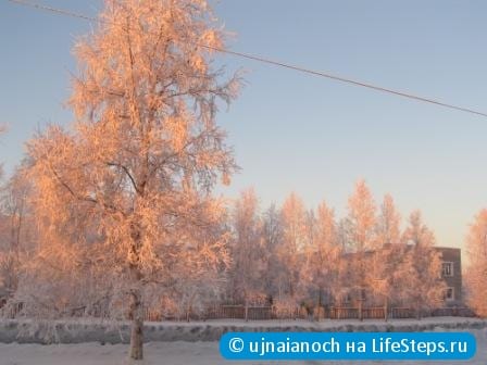 Розовый иней