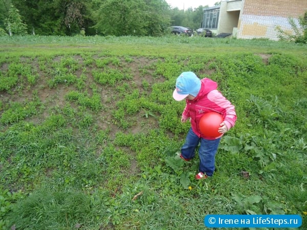 Отстирать одуванчики