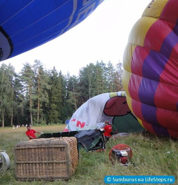 Воздушный шар "Носорог"