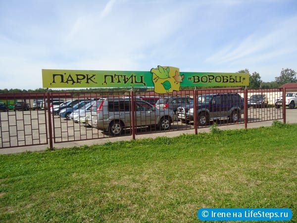 Посетить парк птиц "Воробьи"