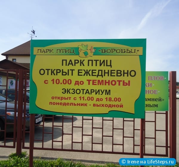 Посетить парк птиц "Воробьи"