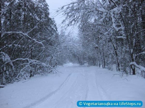 Сделать ангела на снегу