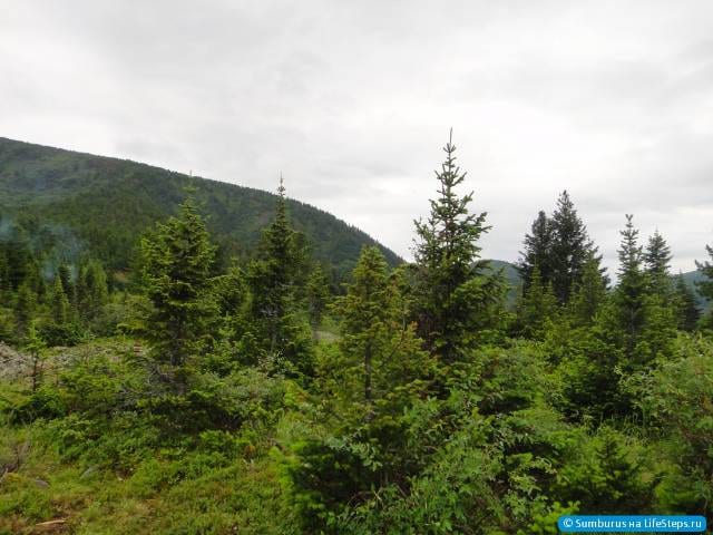 Хамар-Дабан