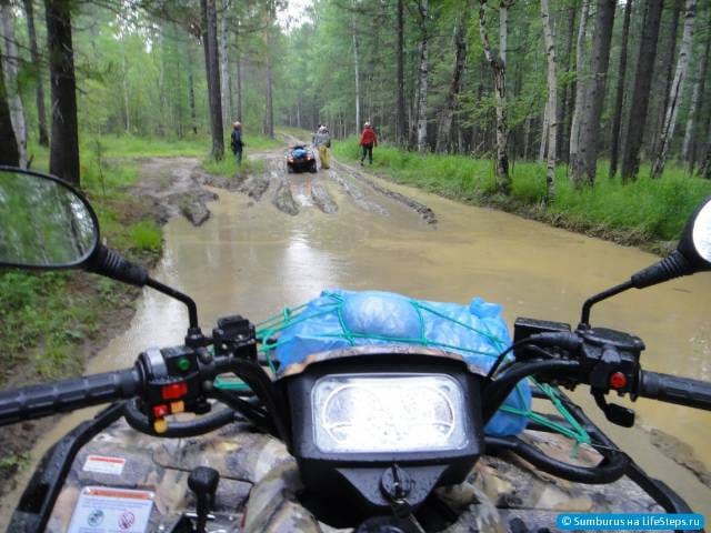 По лесу на квадриках