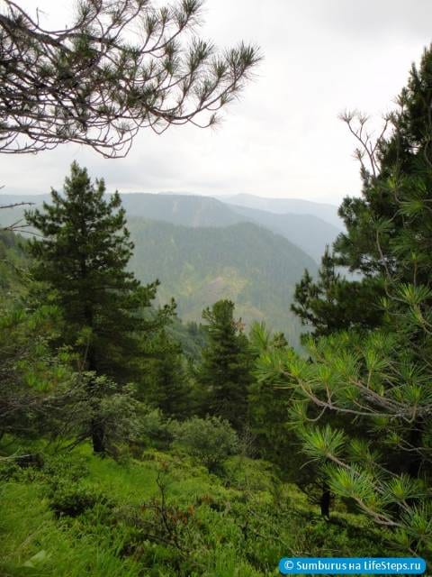 Красотища
