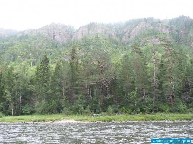 Сплав
