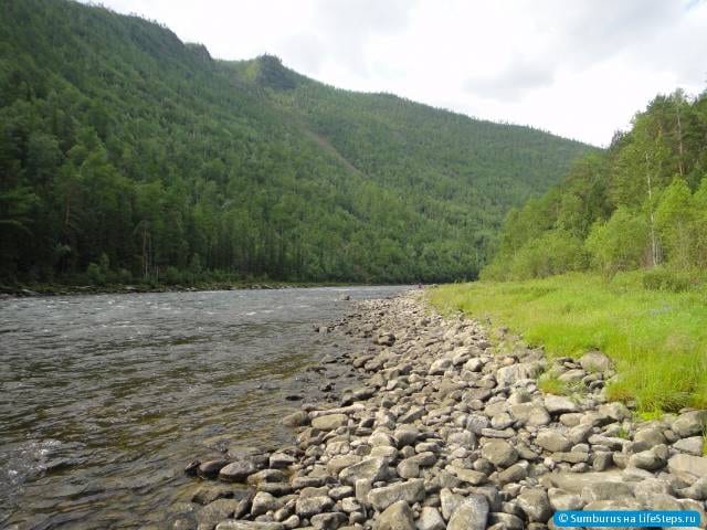 Сплав