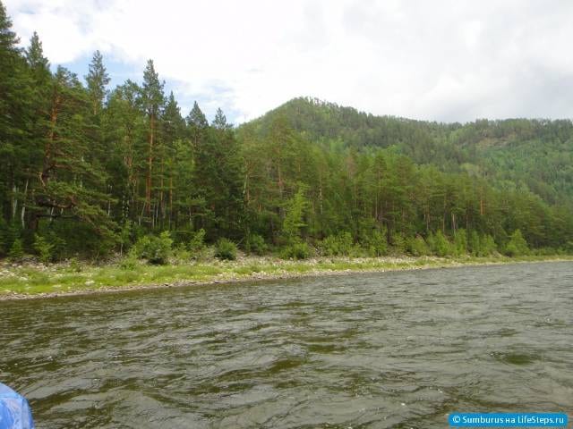 Сплав