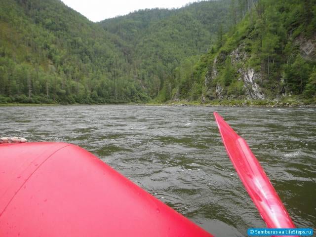 Сплав